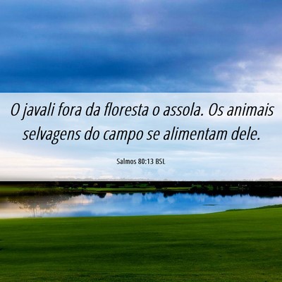 Picture 06 - Salmos 80:13 BSL - O javali fora da floresta o assola. Os animais - Bible Verse Picture