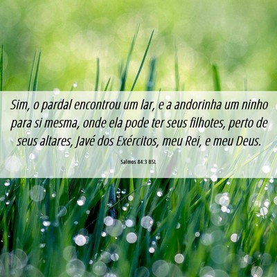 Picture 06 - Salmos 84:3 BSL - Sim, o pardal encontrou um lar, e a andorinha um - Bible Verse Picture