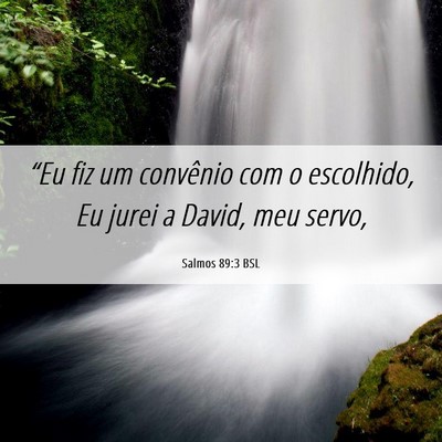 Picture 06 - Salmos 89:3 BSL - “Eu fiz um convênio com o escolhido, Eu jurei - Bible Verse Picture