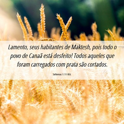 Picture 06 - Sofonias 1:11 BSL - Lamento, seus habitantes de Maktesh, pois todo o - Bible Verse Picture
