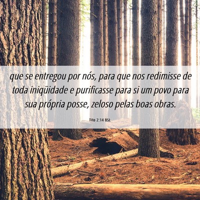 Picture 06 - Tito 2:14 BSL - que se entregou por nós, para que nos redimisse - Bible Verse Picture