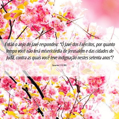 Picture 06 - Zacarias 1:12 BSL - Então o anjo de Javé respondeu: “Ó Javé dos - Bible Verse Picture