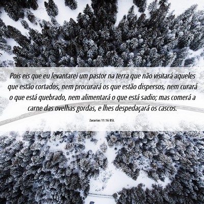 Picture 06 - Zacarias 11:16 BSL - Pois eis que eu levantarei um pastor na terra que - Bible Verse Picture
