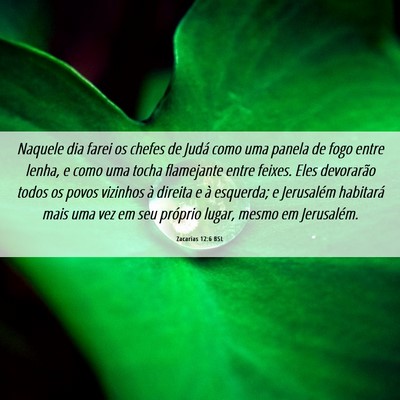 Picture 06 - Zacarias 12:6 BSL - Naquele dia farei os chefes de Judá como uma - Bible Verse Picture