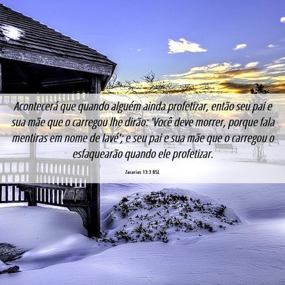 Picture 06 - Zacarias 13:3 BSL - Acontecerá que quando alguém ainda profetizar, - Bible Verse Picture