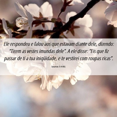 Picture 06 - Zacarias 3:4 BSL - Ele respondeu e falou aos que estavam diante - Bible Verse Picture