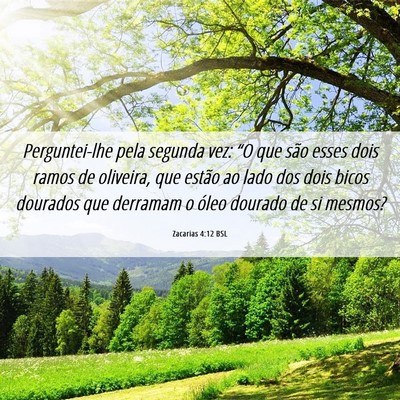 Picture 06 - Zacarias 4:12 BSL - Perguntei-lhe pela segunda vez: “O que são - Bible Verse Picture