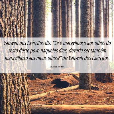 Picture 06 - Zacarias 8:6 BSL - Yahweh dos Exércitos diz: “Se é maravilhoso - Bible Verse Picture