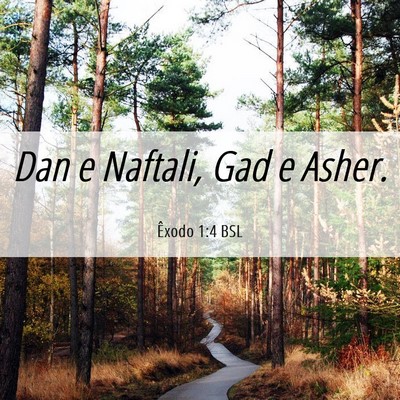 Picture 06 - Êxodo 1:4 BSL - Dan e Naftali, Gad e - Bible Verse Picture