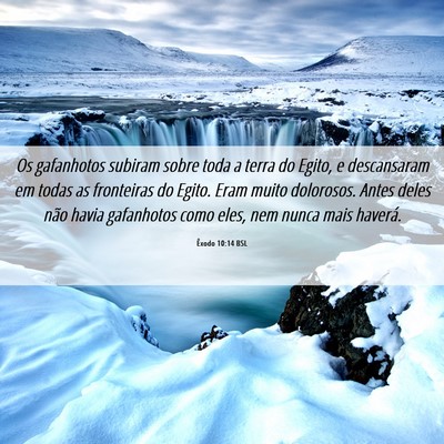 Picture 06 - Êxodo 10:14 BSL - Os gafanhotos subiram sobre toda a terra do - Bible Verse Picture