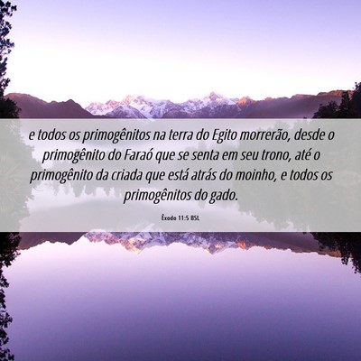 Picture 06 - Êxodo 11:5 BSL - e todos os primogênitos na terra do Egito - Bible Verse Picture