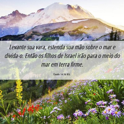Picture 06 - Êxodo 14:16 BSL - Levante sua vara, estenda sua mão sobre o mar e - Bible Verse Picture