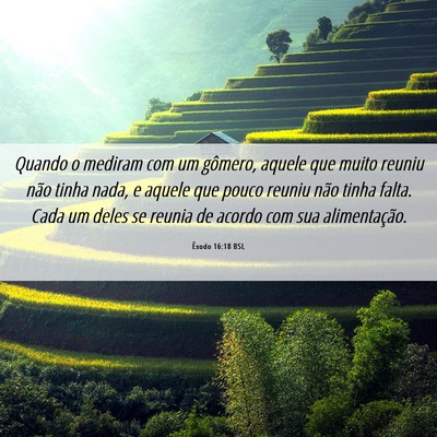 Picture 06 - Êxodo 16:18 BSL - Quando o mediram com um gômero, aquele que muito - Bible Verse Picture