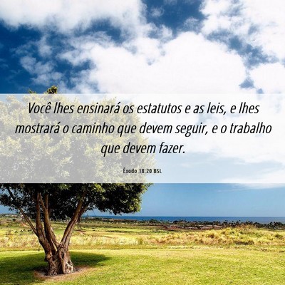 Picture 06 - Êxodo 18:20 BSL - Você lhes ensinará os estatutos e as leis, e - Bible Verse Picture