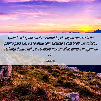 Picture 06 - Êxodo 2:3 BSL - Quando não podia mais escondê-lo, ela pegou uma - Bible Verse Picture