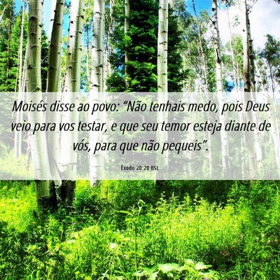 Picture 06 - Êxodo 20:20 BSL - Moisés disse ao povo: “Não tenhais medo, pois - Bible Verse Picture