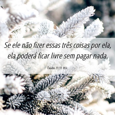Picture 06 - Êxodo 21:11 BSL - Se ele não fizer essas três coisas por ela, ela - Bible Verse Picture