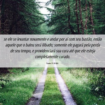 Picture 06 - Êxodo 21:19 BSL - se ele se levantar novamente e andar por aí com - Bible Verse Picture