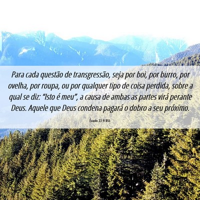 Picture 06 - Êxodo 22:9 BSL - Para cada questão de transgressão, seja por - Bible Verse Picture
