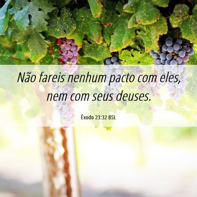 Picture 06 - Êxodo 23:32 BSL - Não fareis nenhum pacto com eles, nem com seus - Bible Verse Picture