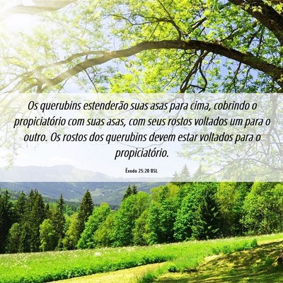 Picture 06 - Êxodo 25:20 BSL - Os querubins estenderão suas asas para cima, - Bible Verse Picture