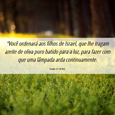 Picture 06 - Êxodo 27:20 BSL - “Você ordenará aos filhos de Israel, que lhe - Bible Verse Picture