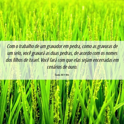 Picture 06 - Êxodo 28:11 BSL - Com o trabalho de um gravador em pedra, como as - Bible Verse Picture