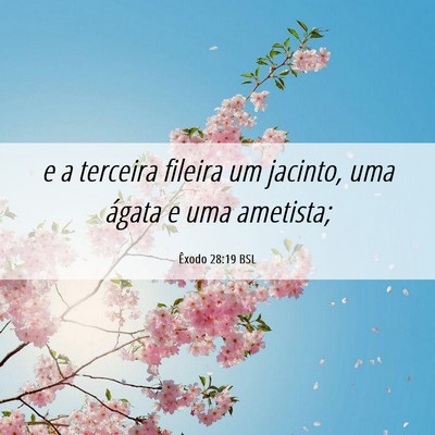 Picture 06 - Êxodo 28:19 BSL - e a terceira fileira um jacinto, uma ágata e uma - Bible Verse Picture