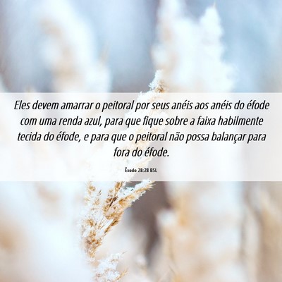 Picture 06 - Êxodo 28:28 BSL - Eles devem amarrar o peitoral por seus anéis aos - Bible Verse Picture