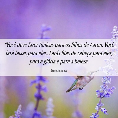 Picture 06 - Êxodo 28:40 BSL - “Você deve fazer túnicas para os filhos de - Bible Verse Picture