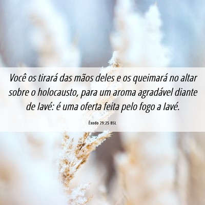 Picture 06 - Êxodo 29:25 BSL - Você os tirará das mãos deles e os queimará - Bible Verse Picture