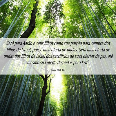 Picture 06 - Êxodo 29:28 BSL - Será para Aarão e seus filhos como sua porção - Bible Verse Picture
