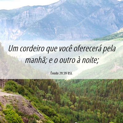 Picture 06 - Êxodo 29:39 BSL - Um cordeiro que você oferecerá pela manhã; e o - Bible Verse Picture