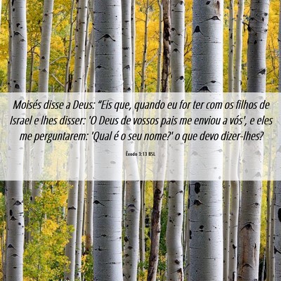 Picture 06 - Êxodo 3:13 BSL - Moisés disse a Deus: “Eis que, quando eu for - Bible Verse Picture