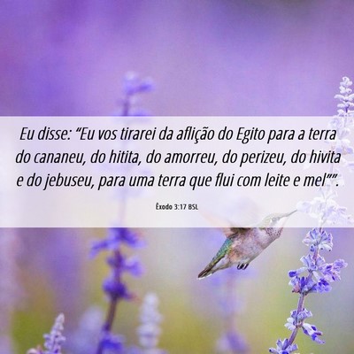 Picture 06 - Êxodo 3:17 BSL - Eu disse: “Eu vos tirarei da aflição do Egito - Bible Verse Picture