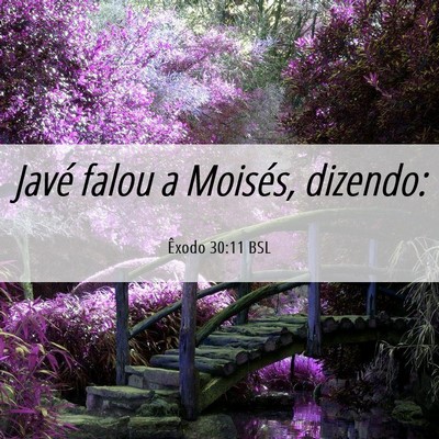 Picture 06 - Êxodo 30:11 BSL - Javé falou a Moisés, - Bible Verse Picture