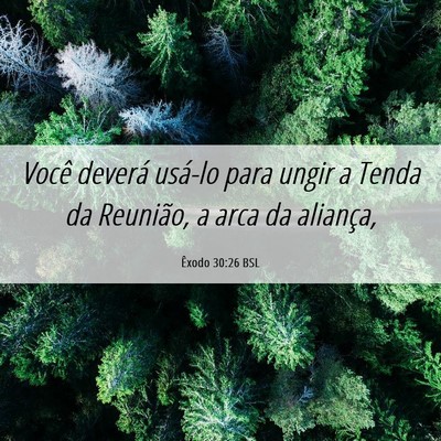 Picture 06 - Êxodo 30:26 BSL - Você deverá usá-lo para ungir a Tenda da - Bible Verse Picture