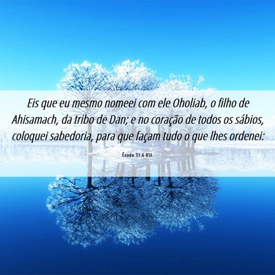 Picture 06 - Êxodo 31:6 BSL - Eis que eu mesmo nomeei com ele Oholiab, o filho - Bible Verse Picture