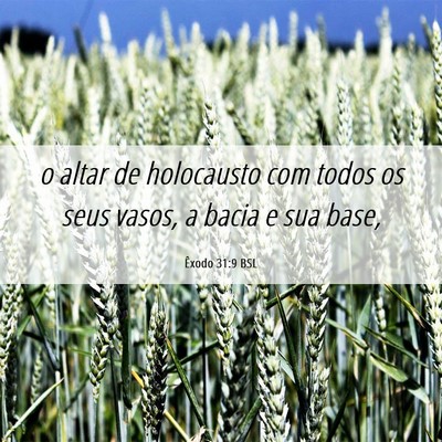 Picture 06 - Êxodo 31:9 BSL - o altar de holocausto com todos os seus vasos, a - Bible Verse Picture