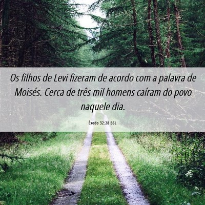 Picture 06 - Êxodo 32:28 BSL - Os filhos de Levi fizeram de acordo com a palavra - Bible Verse Picture