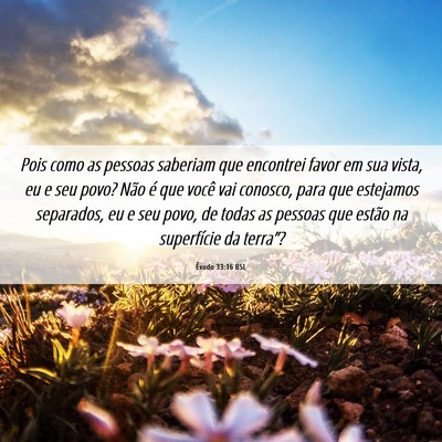 Picture 06 - Êxodo 33:16 BSL - Pois como as pessoas saberiam que encontrei favor - Bible Verse Picture