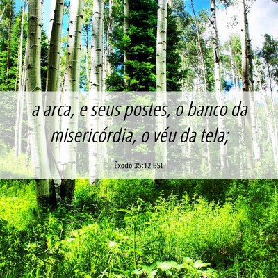 Picture 06 - Êxodo 35:12 BSL - a arca, e seus postes, o banco da misericórdia, - Bible Verse Picture