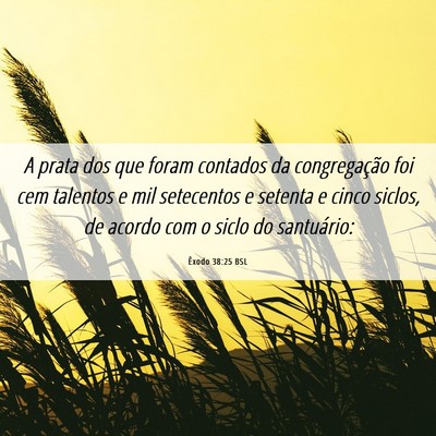 Picture 06 - Êxodo 38:25 BSL - A prata dos que foram contados da congregação - Bible Verse Picture