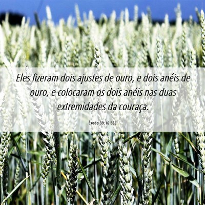 Picture 06 - Êxodo 39:16 BSL - Eles fizeram dois ajustes de ouro, e dois anéis - Bible Verse Picture