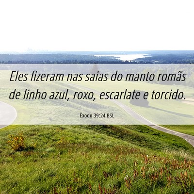 Picture 06 - Êxodo 39:24 BSL - Eles fizeram nas saias do manto romãs de linho - Bible Verse Picture
