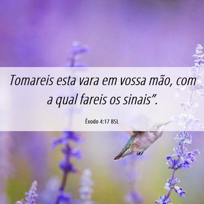 Picture 06 - Êxodo 4:17 BSL - Tomareis esta vara em vossa mão, com a qual - Bible Verse Picture