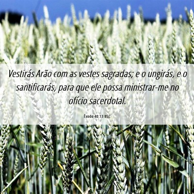 Picture 06 - Êxodo 40:13 BSL - Vestirás Arão com as vestes sagradas; e o - Bible Verse Picture