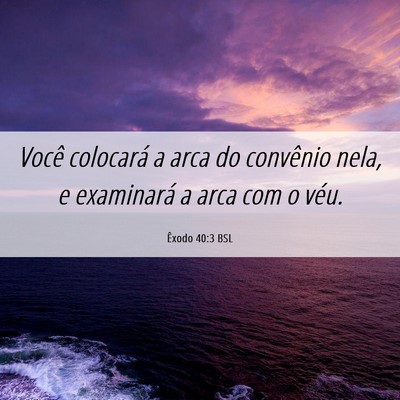 Picture 06 - Êxodo 40:3 BSL - Você colocará a arca do convênio nela, e - Bible Verse Picture