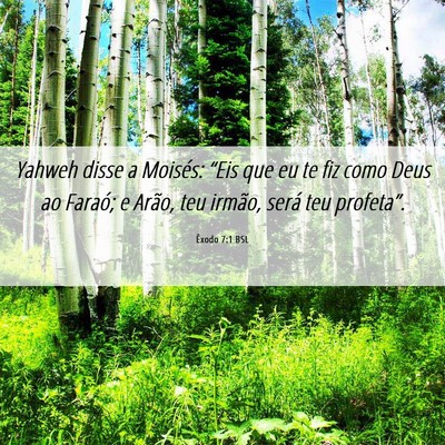 Picture 06 - Êxodo 7:1 BSL - Yahweh disse a Moisés: “Eis que eu te fiz como - Bible Verse Picture
