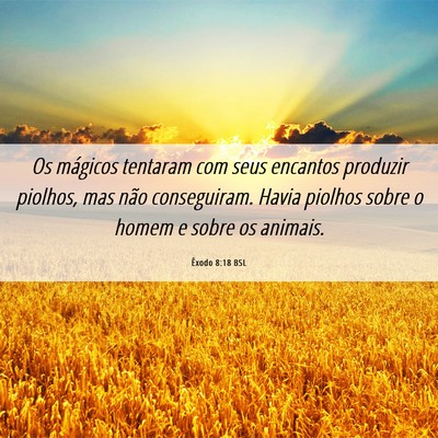 Picture 06 - Êxodo 8:18 BSL - Os mágicos tentaram com seus encantos produzir - Bible Verse Picture